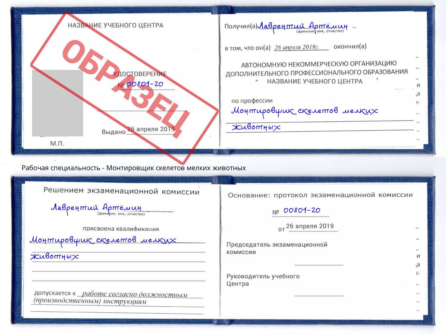 Монтировщик скелетов мелких животных Озёрск